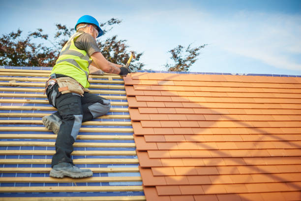 Best Roof Maintenance  in Ordway, CO